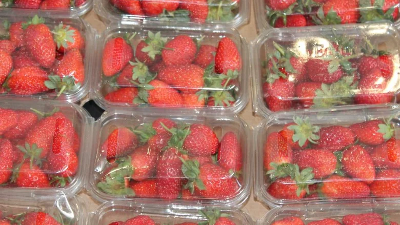 revolutionizing-chemical-safety-a-new-frontier-in-high-throughput-toxicology-for-food-packaging