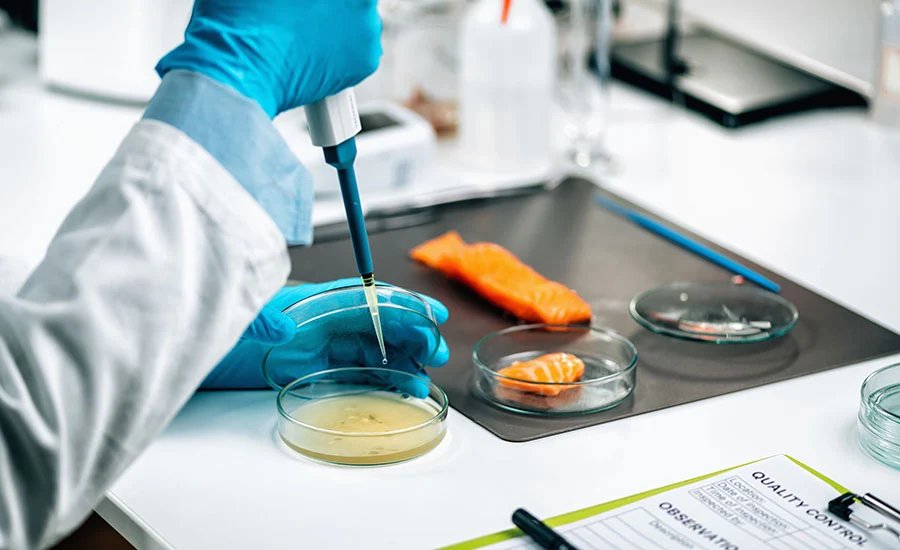 safeguarding-the-nations-plate-an-analysis-of-fdas-2025-food-safety-outbreak-investigations