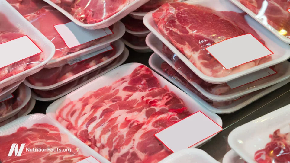 shadows-of-influence-how-a-single-researcher-bridged-big-sugar-and-big-meat-in-undermining-dietary-science