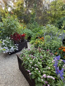 the-art-of-abundance-why-your-vegetable-garden-should-break-the-rules