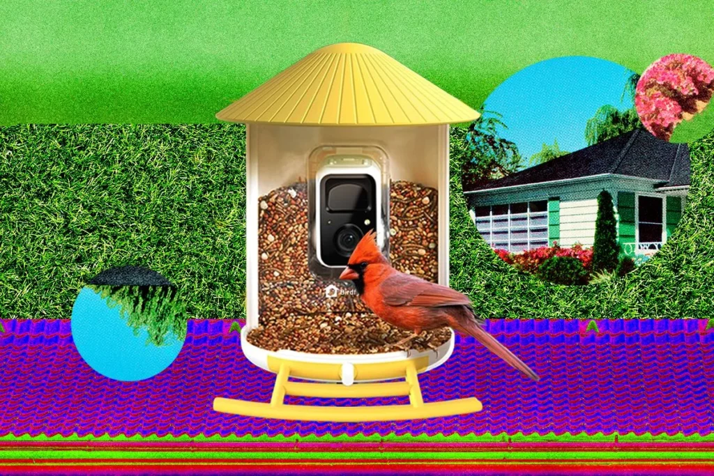 the-future-of-backyard-birding-are-smart-feeders-worth-the-hype