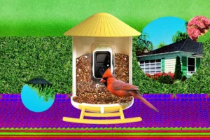 the-future-of-backyard-birding-are-smart-feeders-worth-the-hype