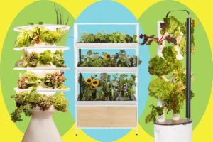 the-future-of-indoor-cultivation-a-comprehensive-guide-to-smart-hydroponic-gardens