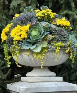 the-seasonal-shift-elevating-your-autumn-garden-displays