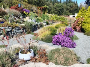 a-masterclass-in-elevation-transforming-a-camano-island-slope-into-a-desert-oasis