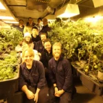 Cultivating Life at the Edge of the World: The Extraordinary Hydroponics Program at Antarctica’s Davis Station