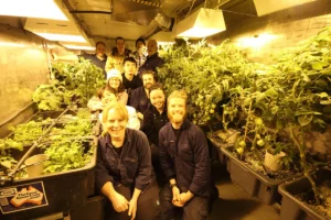 cultivating-life-at-the-edge-of-the-world-the-extraordinary-hydroponics-program-at-antarcticas-davis-station