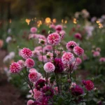 From Boardrooms to Bloom: How Laura Grimm Cultivated a Floral Empire in Far Hills
