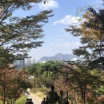 from-hanoi-to-home-navigating-the-financial-complexities-of-the-american-expat-return