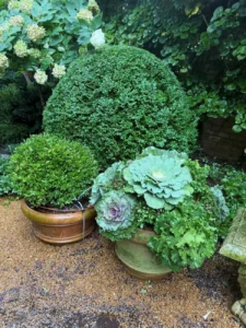 seasonal-artistry-mastering-the-autumn-container-garden-with-howards-chicago-displays