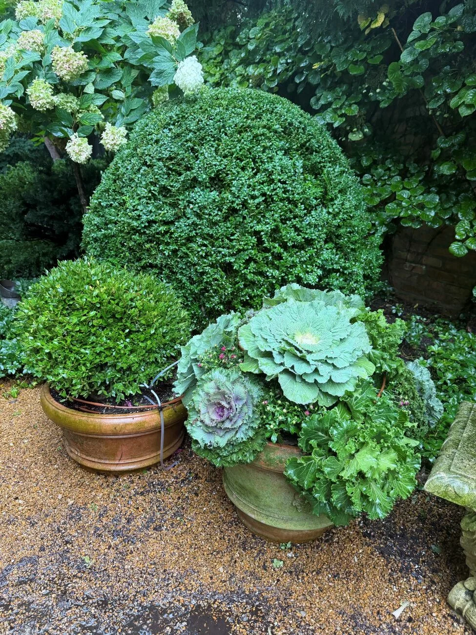 seasonal-artistry-mastering-the-autumn-container-garden-with-howards-chicago-displays