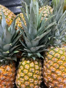 the-architectural-elegance-of-bromeliads-a-comprehensive-guide-to-tropical-indoor-gardening